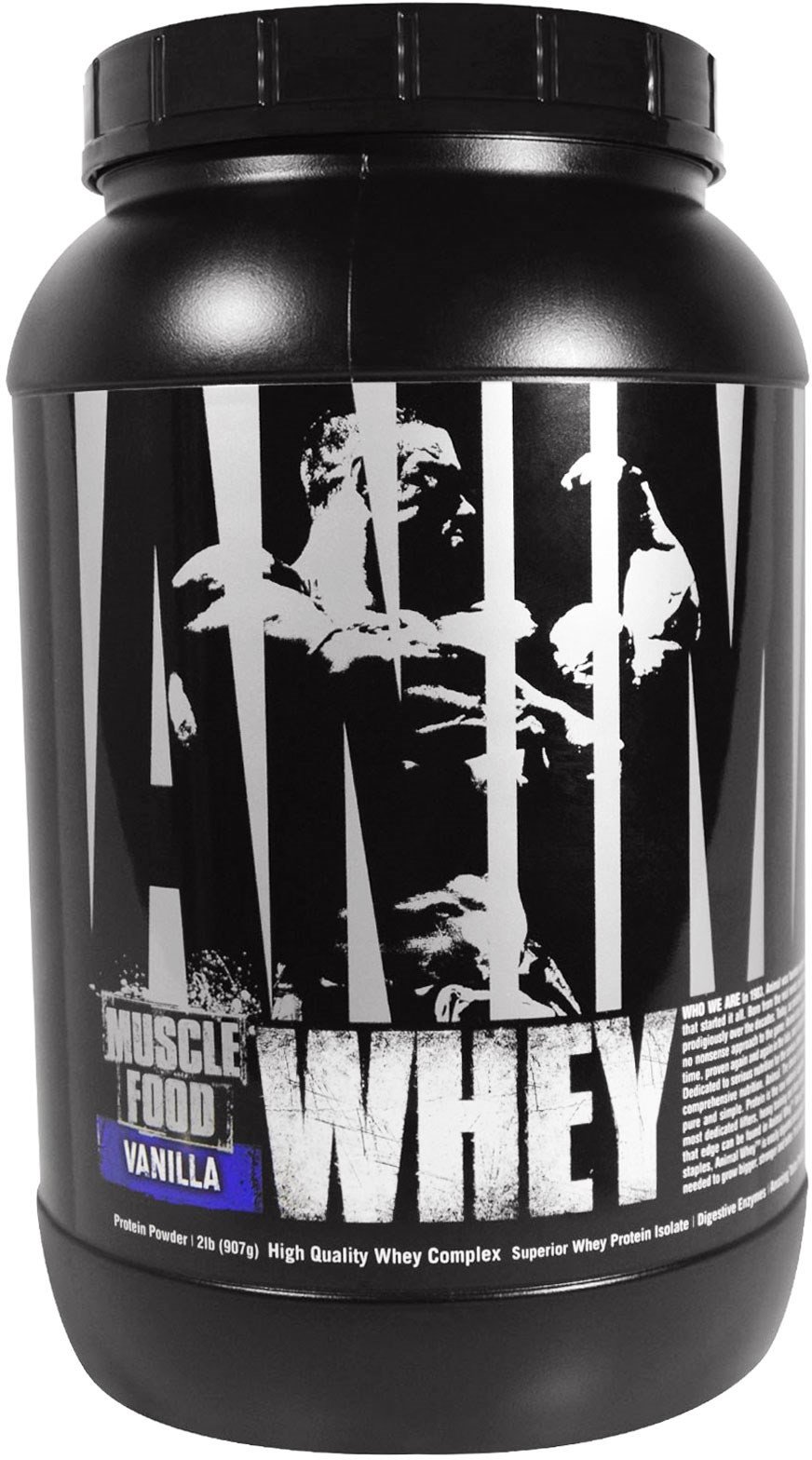 Animal protein. Протеин Universal Nutrition animal Whey. Animal Whey Protein от Universal Nutrition. Протеин с медведем на упаковке. Протеин с медведем.