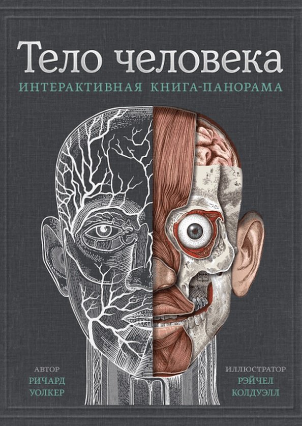 Акция на Ричард Уолкер: Тело человека. Интерактивная книга-панорама от Y.UA